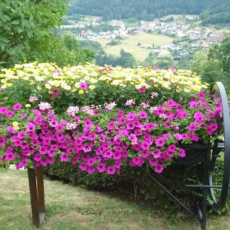 Fleuri Mit Einer Herrlichen Aussicht By Interhome Holiday home *